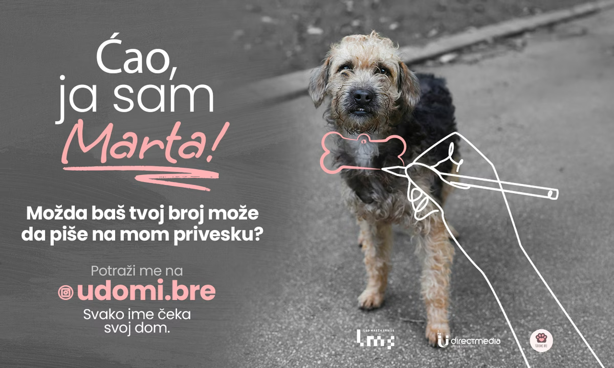 Rasa bez glasa - Kako je sve počelo: Svako ime čeka svoj dom