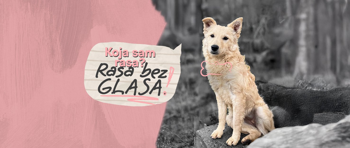 Rasa bez glasa - Podržite 